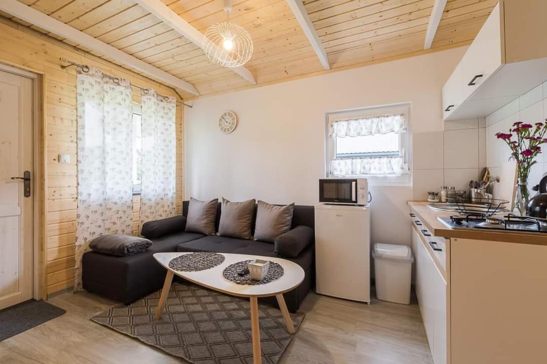 Skandynawia Ferienhaus Uherce Mineralne